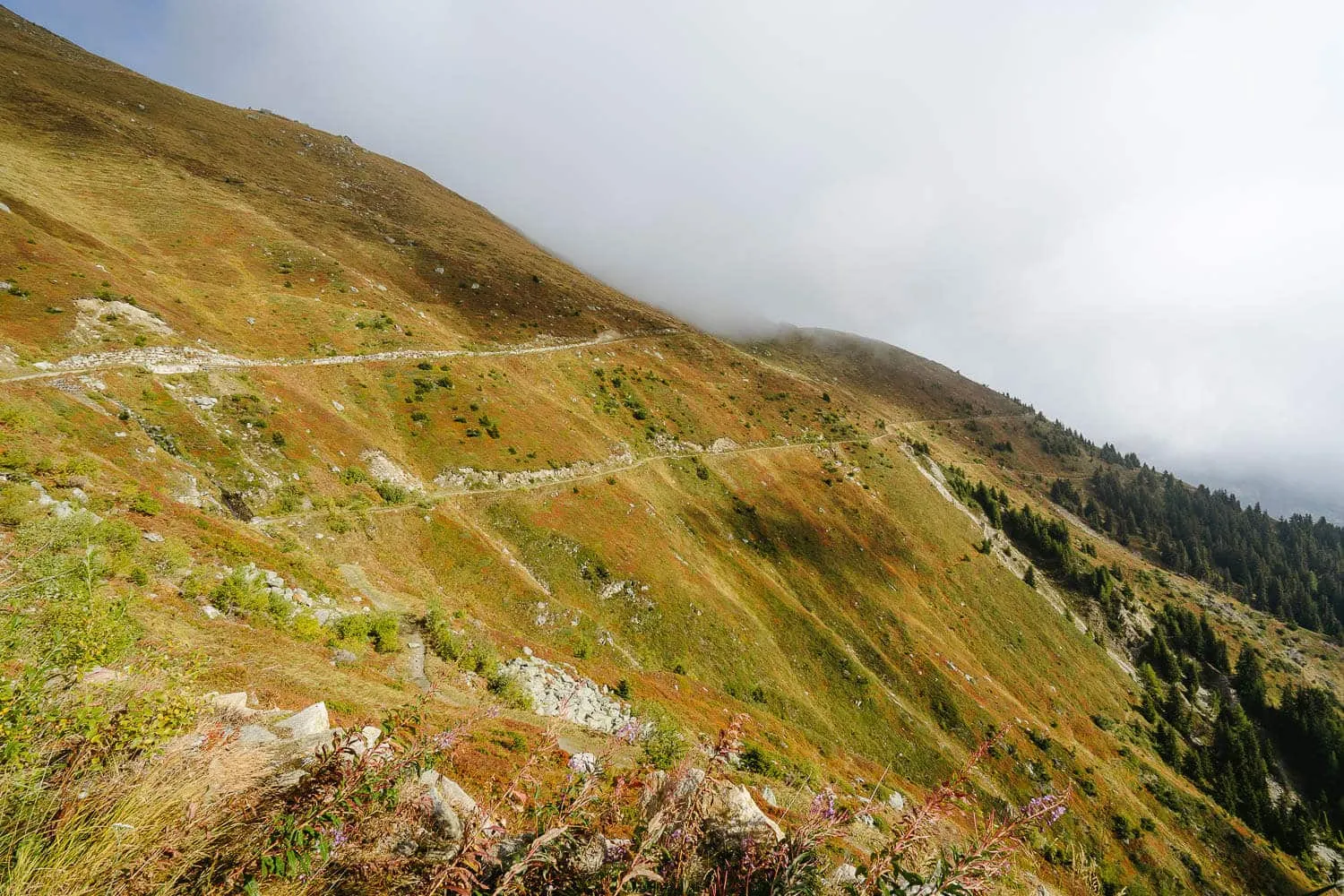 The path to Fiescheralp