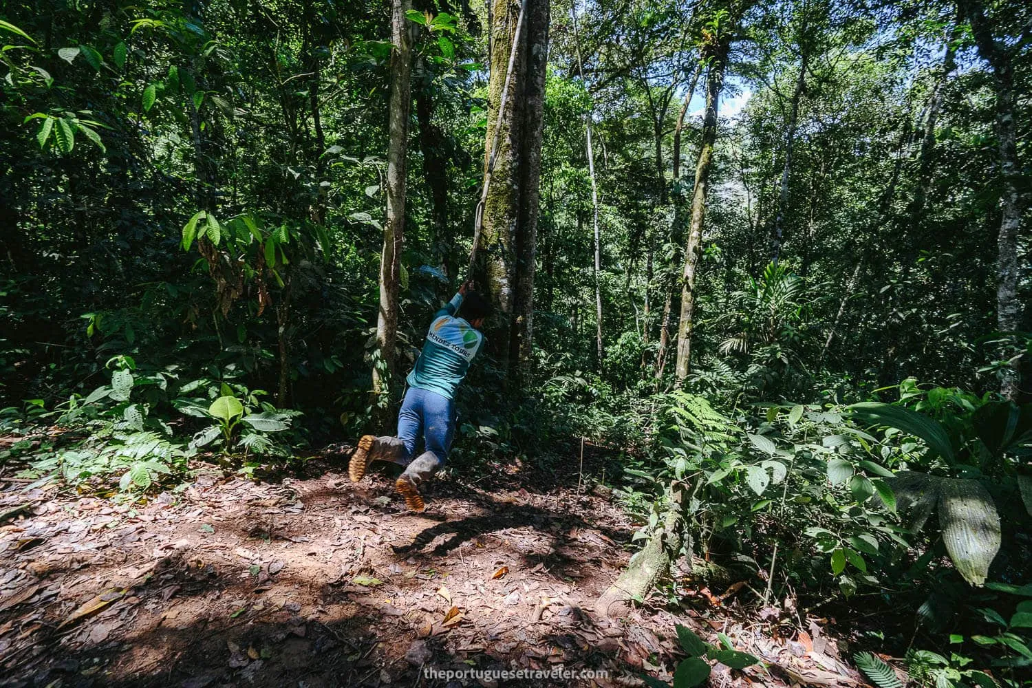 Jimmy showing us how to swing on the liana, on the Cueva de Los Tayos expedition.