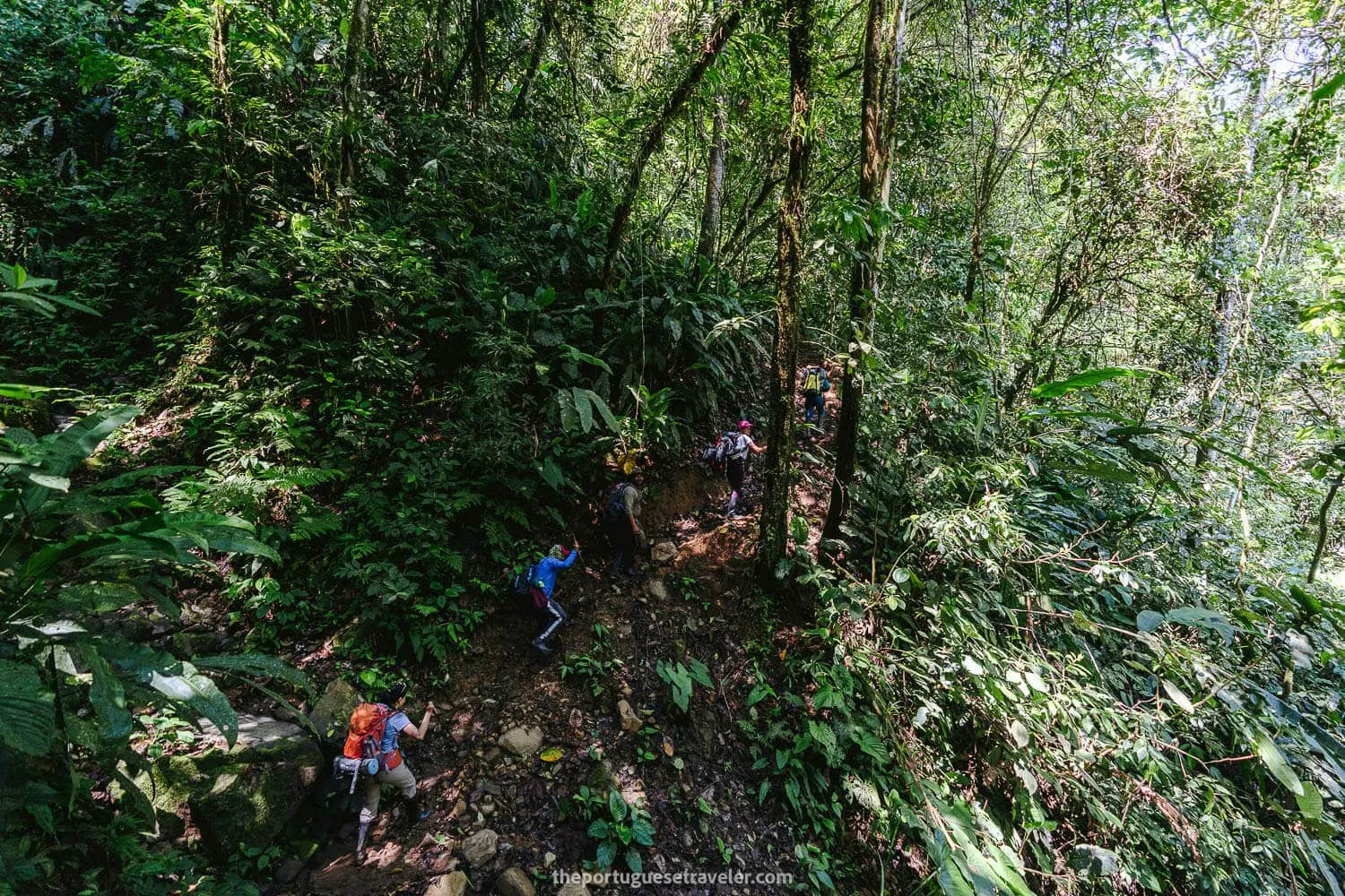 Climbing our way uphill, on the Cueva de Los Tayos expedition.