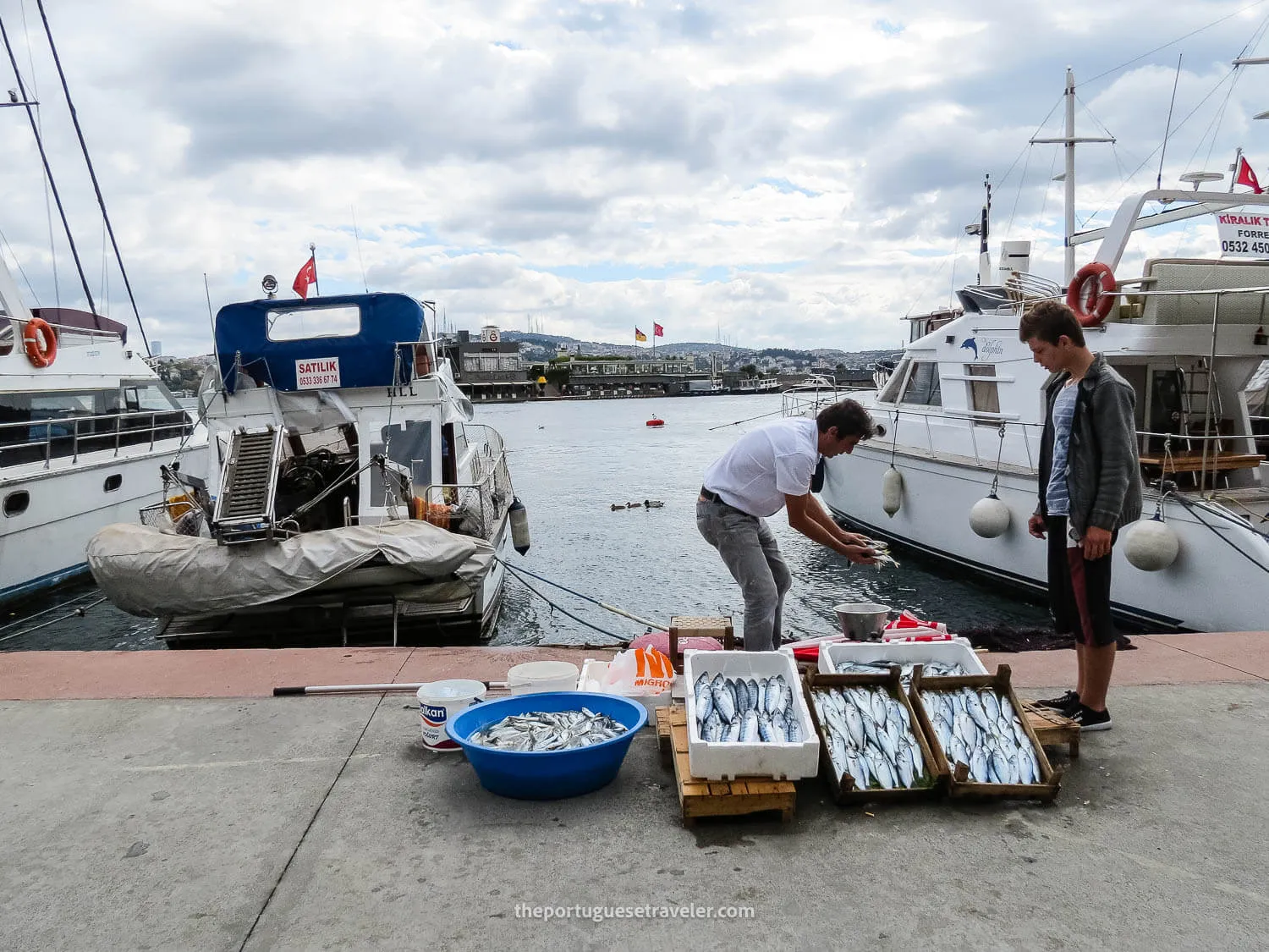 Arnavutkoy's fishermen