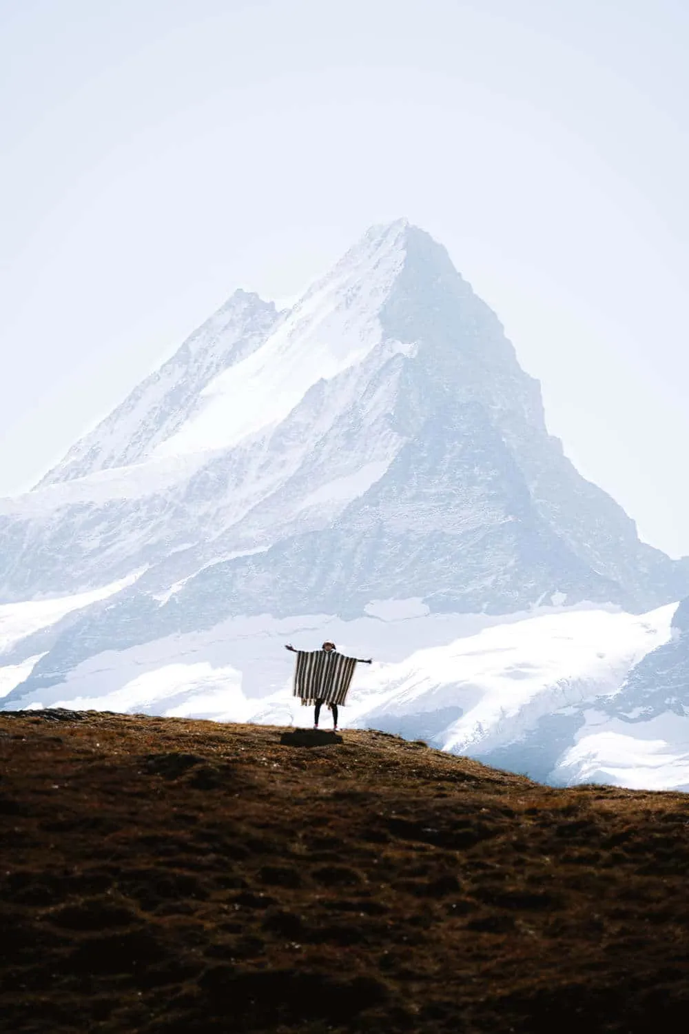 The Schreckhorn