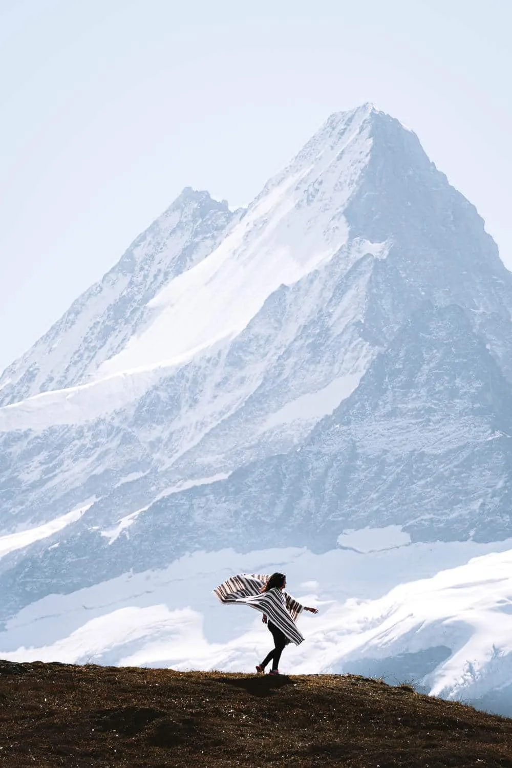 The Schreckhorn