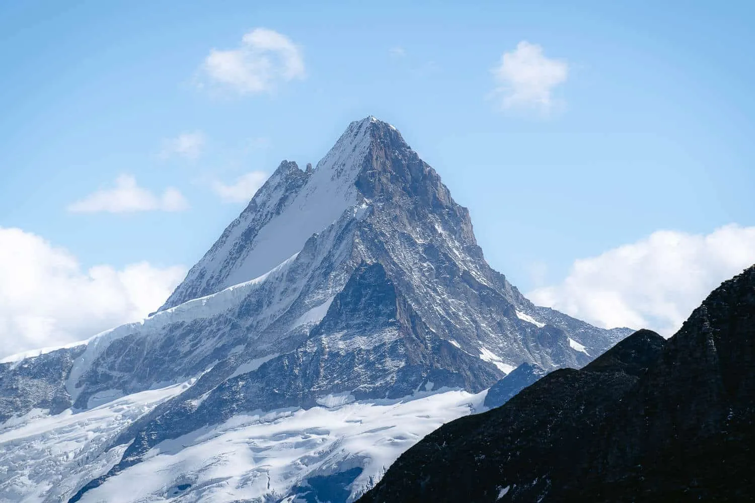 The Schreckhorn