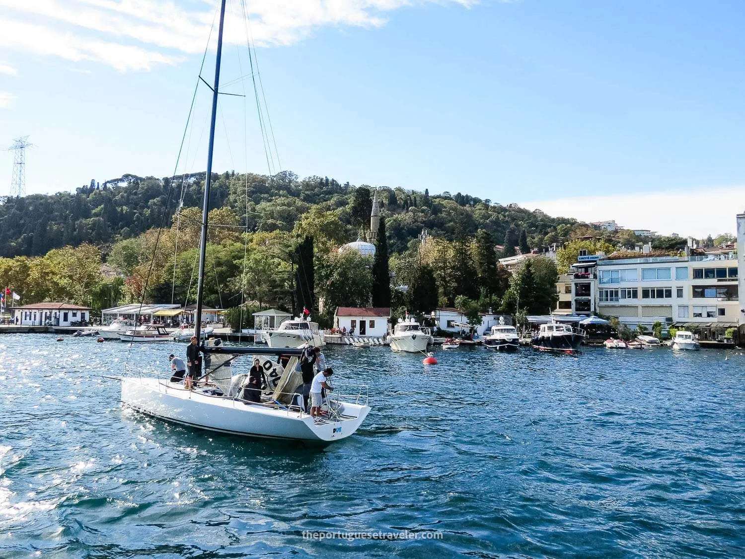 Bebek seen from the Cruise