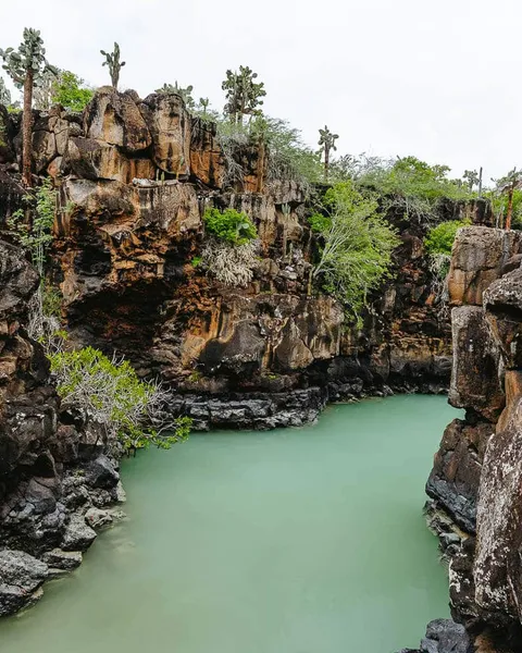 15 Free Things To Do in Santa Cruz, Galapagos: Without a Guide
