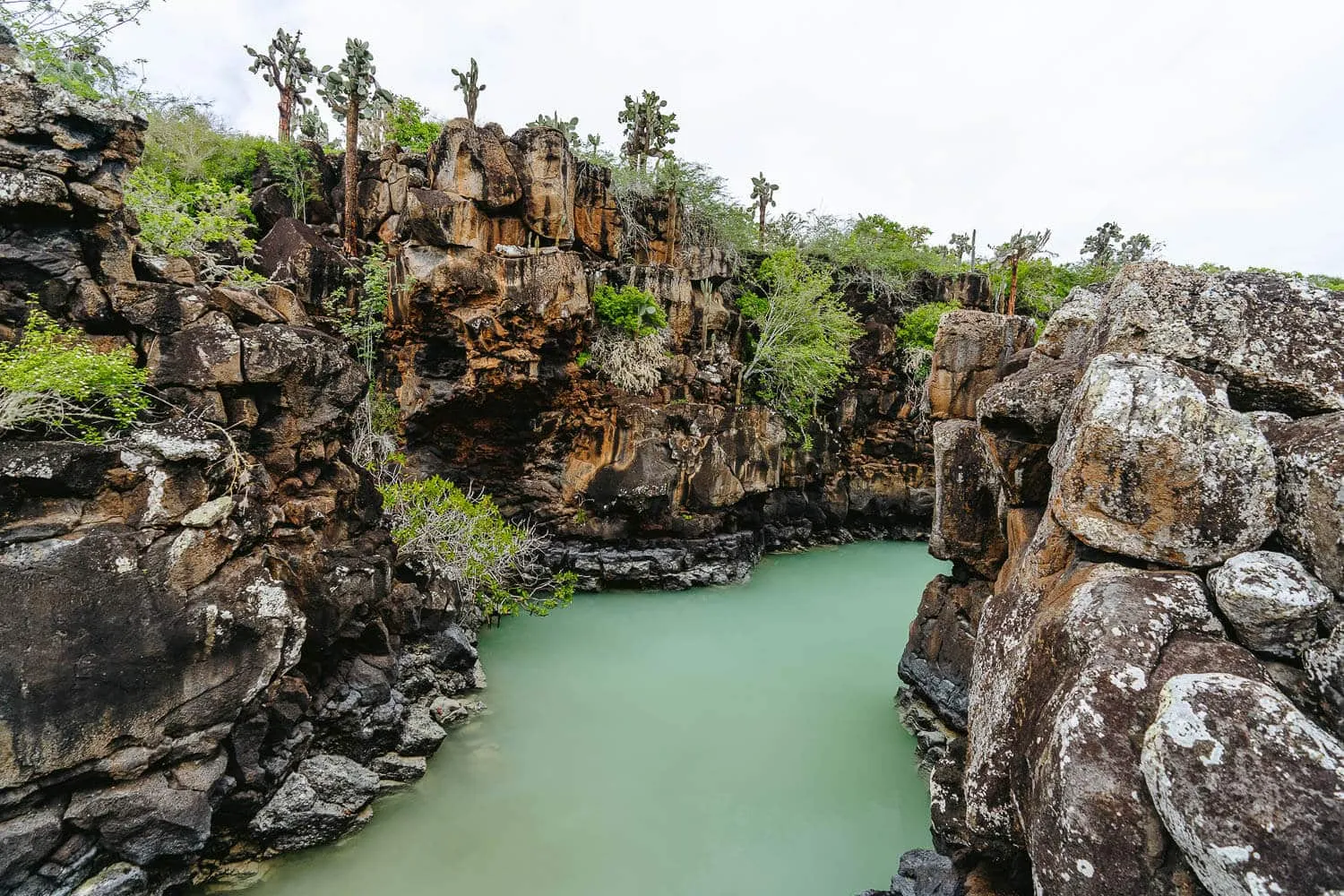 15 Free Things To Do in Santa Cruz, Galapagos: Without a Guide