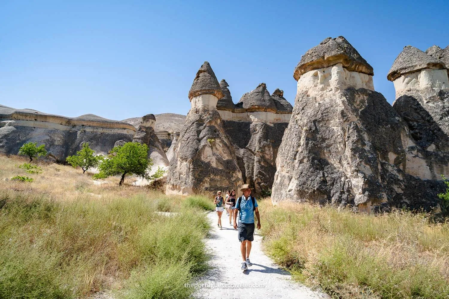 The Fairy Chimneys of the Pasabag Monks Valley in Cappadocia, Turkey