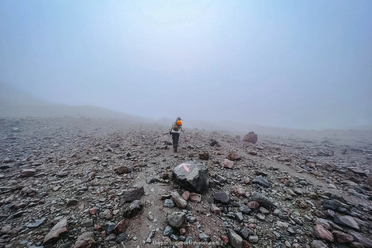 Following the signs while the fog set in