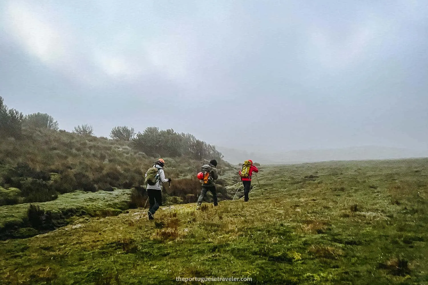 The beginning of the hike through the wetlands