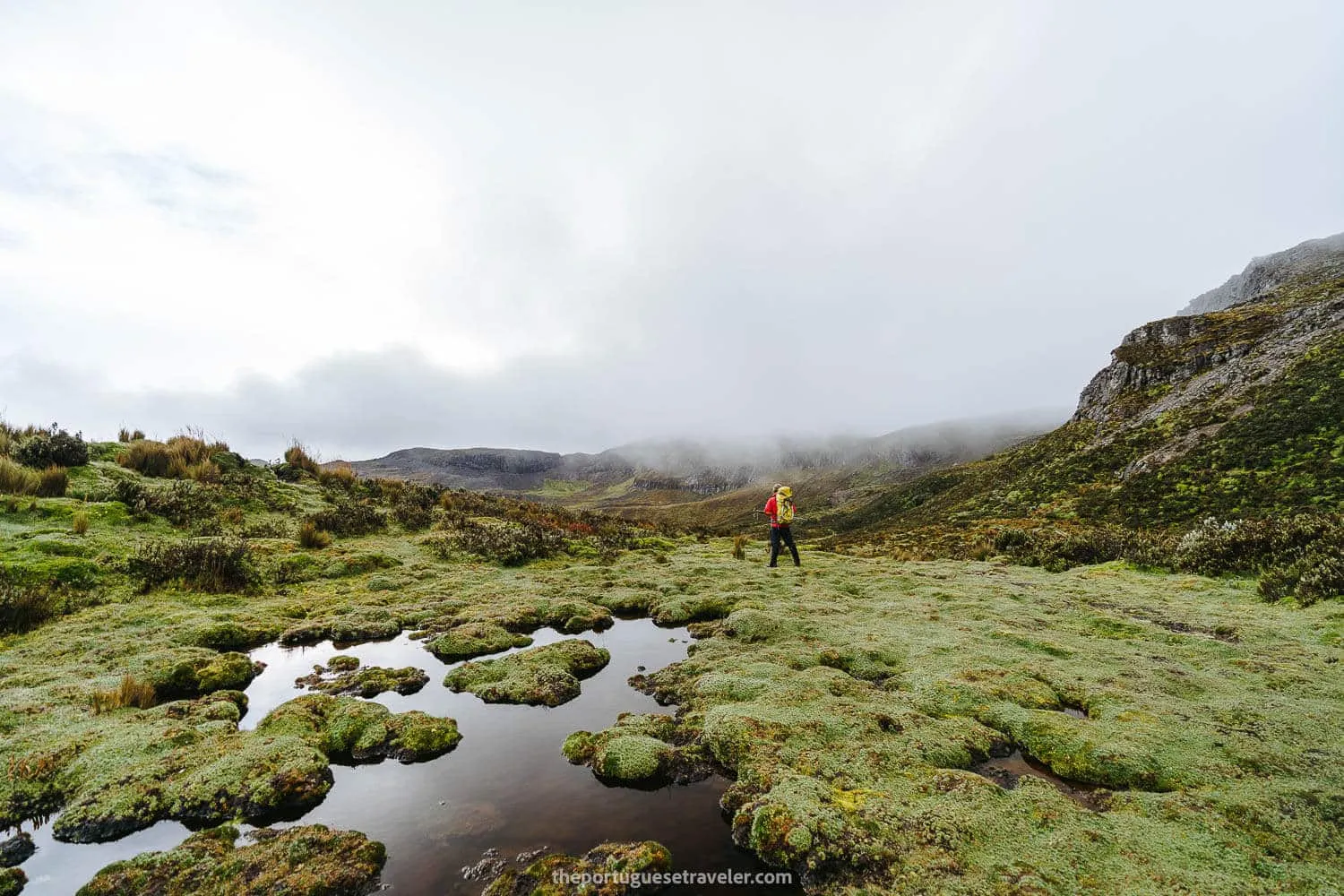Leandro posing at the end of the wetlands section
