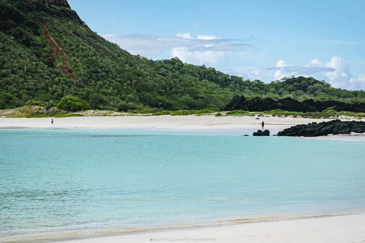 A dreamy turquoise water beach