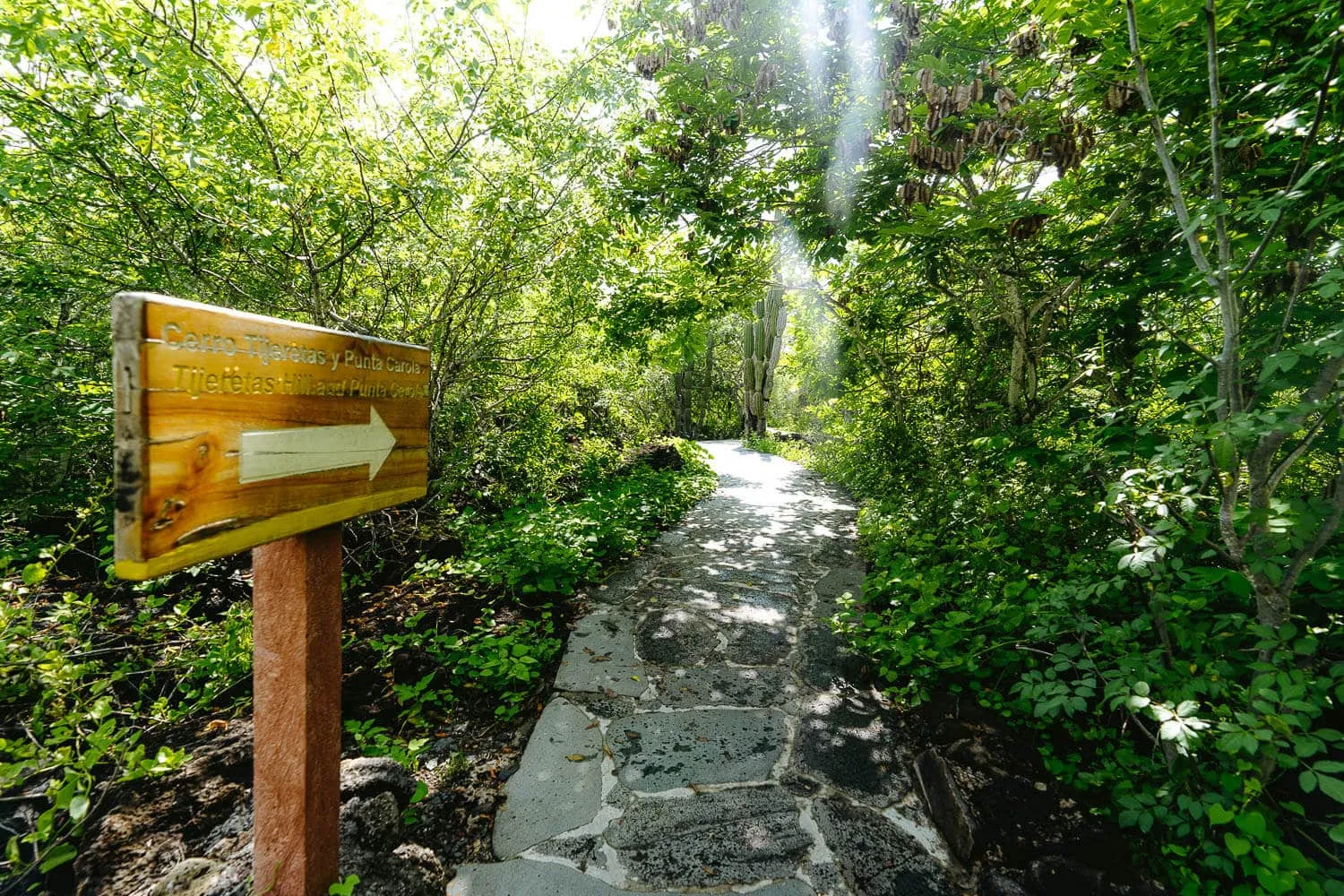 The start of the hike to Cerro Tijeretas and Punta Carola beach - Responsible Tourism in Galapagos