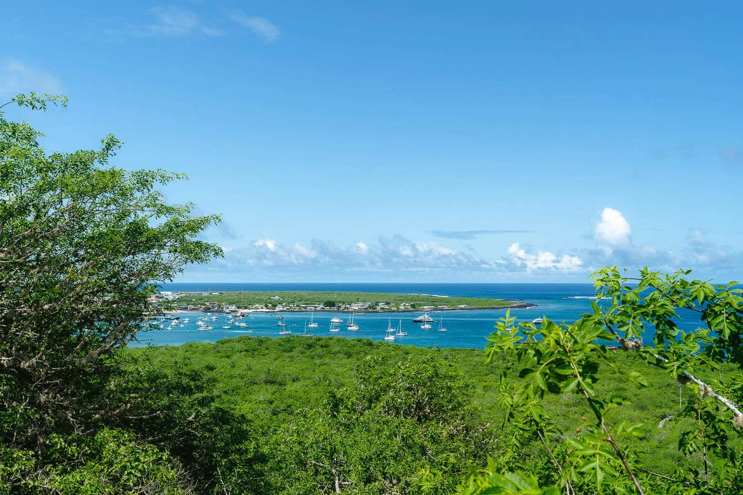The view to Puerto Baquerizo Moreno from Cerro Tijeretas