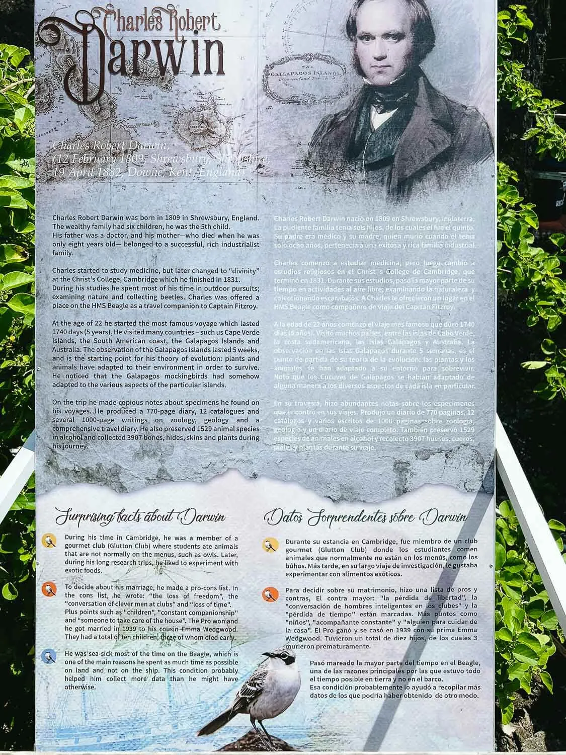 Charles Darwin History when he was young