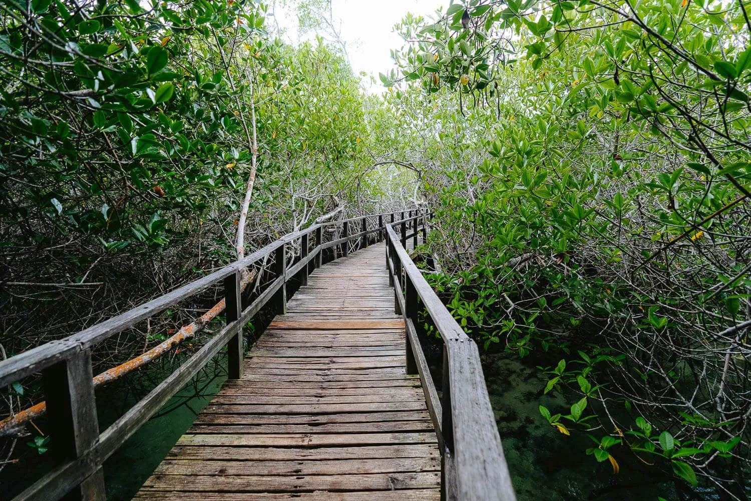 Wooden passage to the Concha de Perla lagoon
