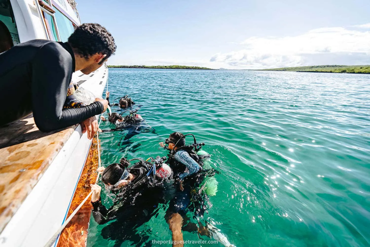 The discovery divers checking the fish underwater