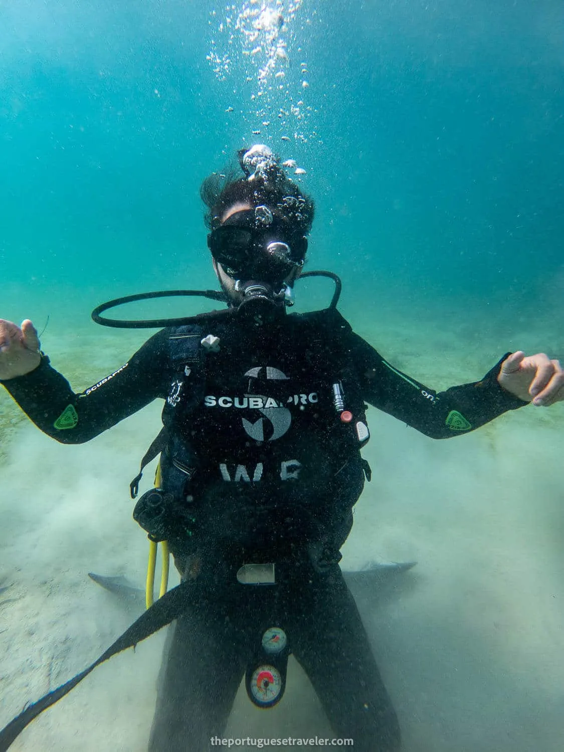 Pato Scuba Diving