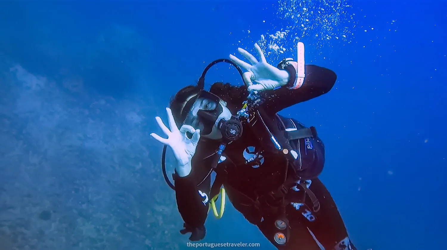 My buddy also super happy after spotting her first hammerhead