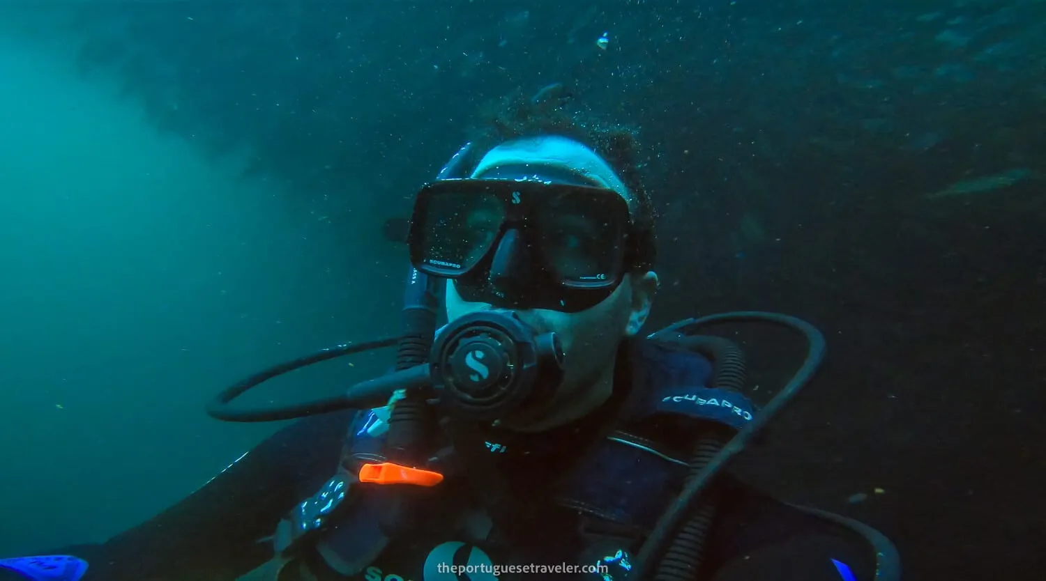 The first dive surrounded by a wall of fish - Galapagos Solo Travel