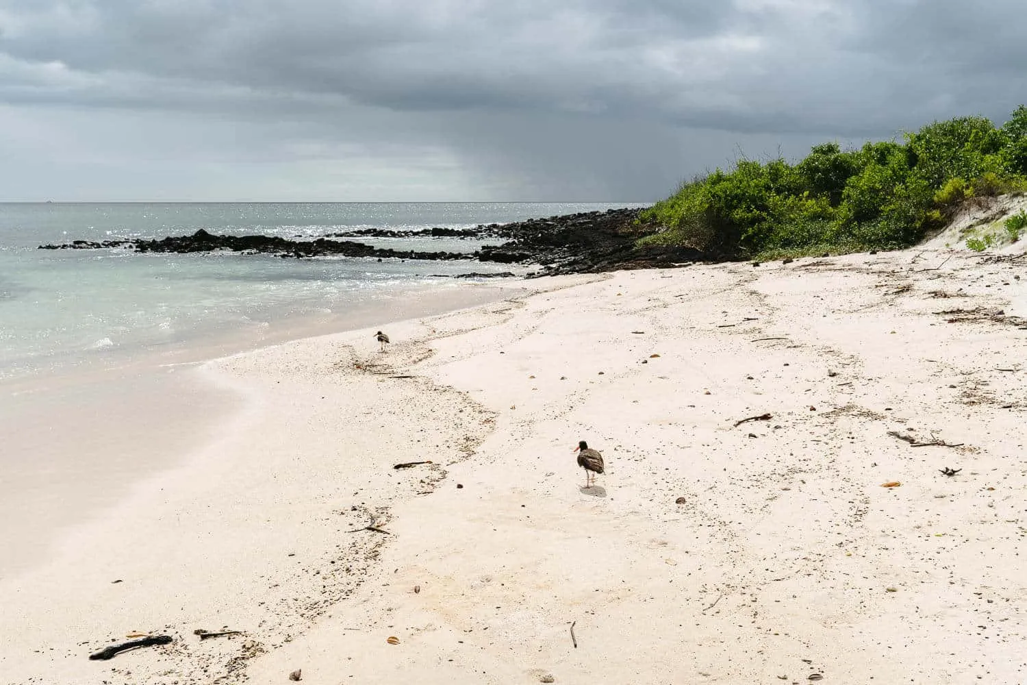 The Puerto Grande beach