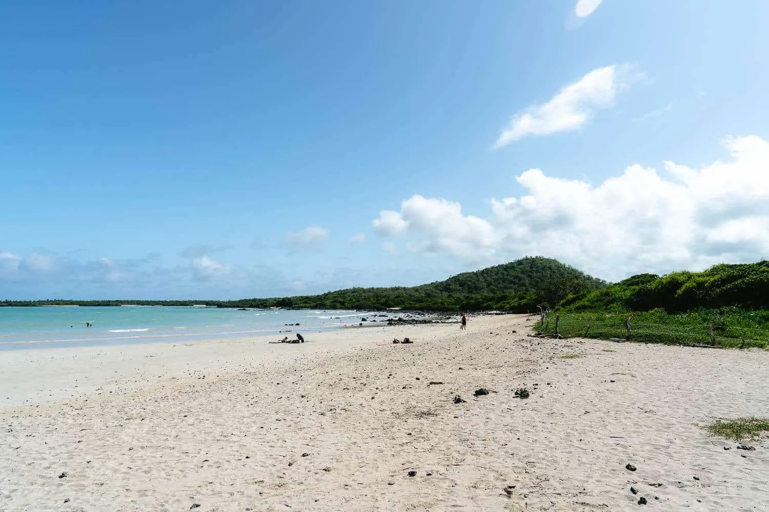 El Garrapatero beach in Santa Cruz, Galápagos, one of the best beaches in the Galapagos
