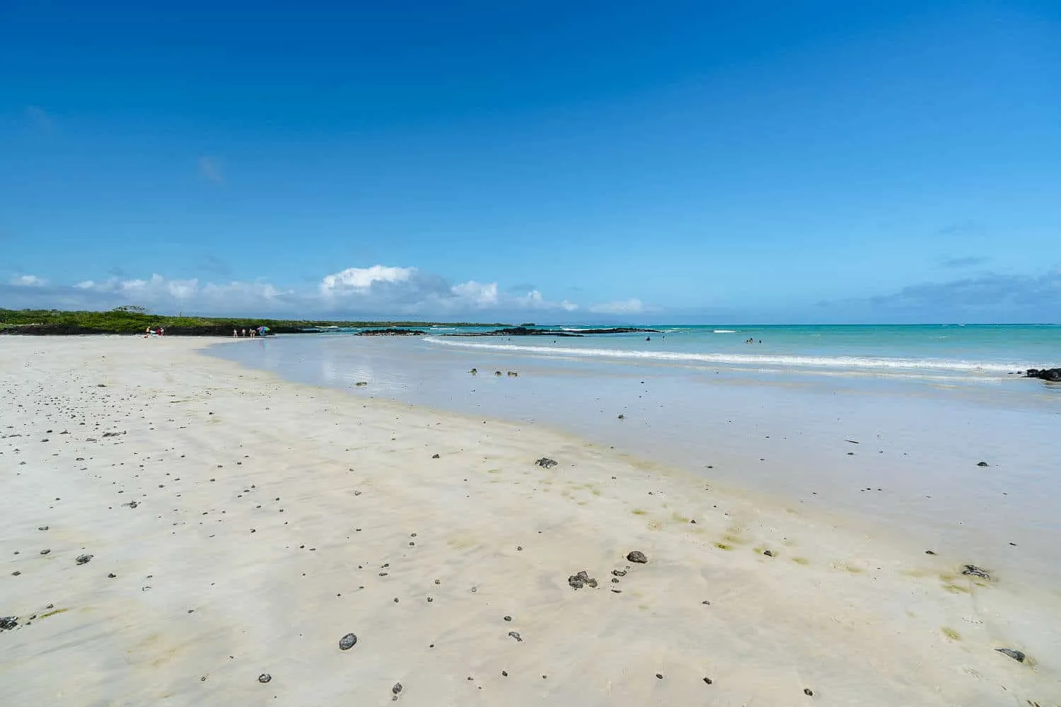 The long white-sanded beach of El Garrapatero
