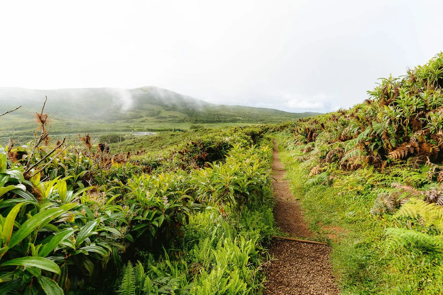 The landscape around El Junco crater on the Highlands Tour in San Cristobal