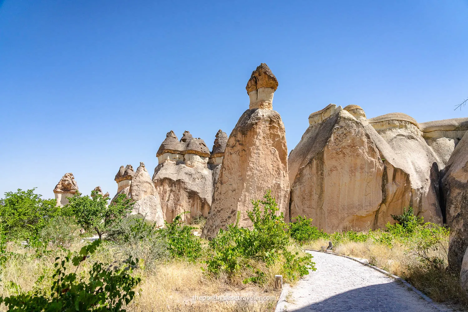 The Fairy Chimneys of the Pasabag Monks Valley in Cappadocia, Turkey