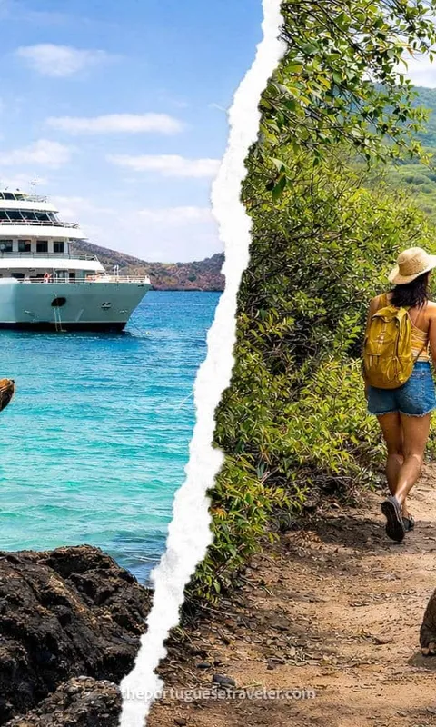 Galapagos Cruise vs Island Hopping: All You Need to Know (2026)