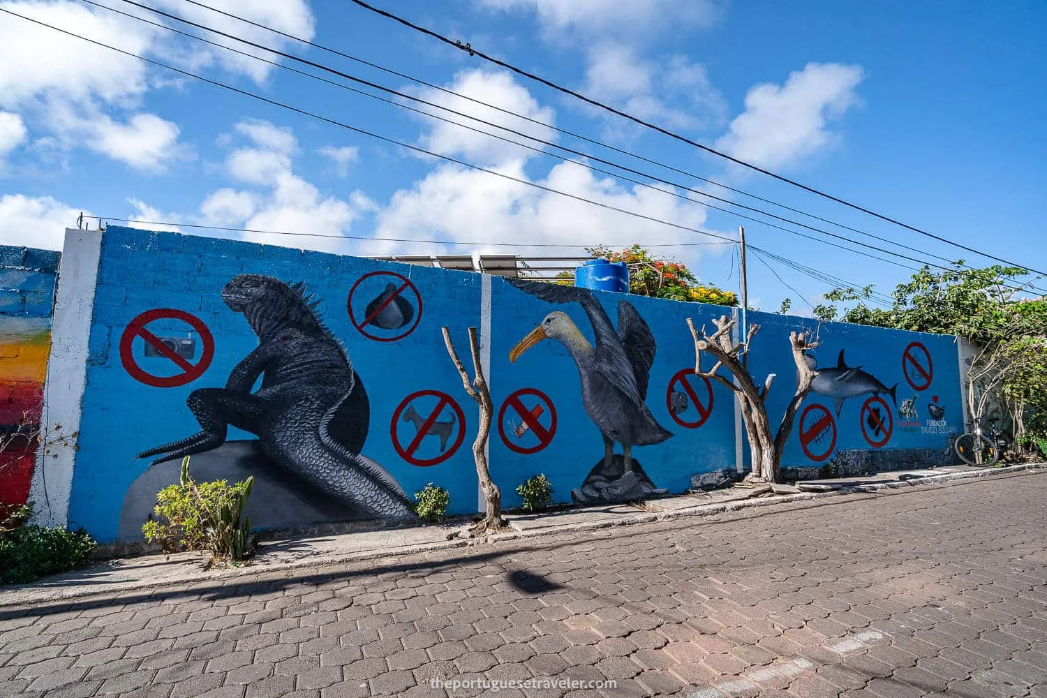 Street art showing what's forbidden in the Galapagos