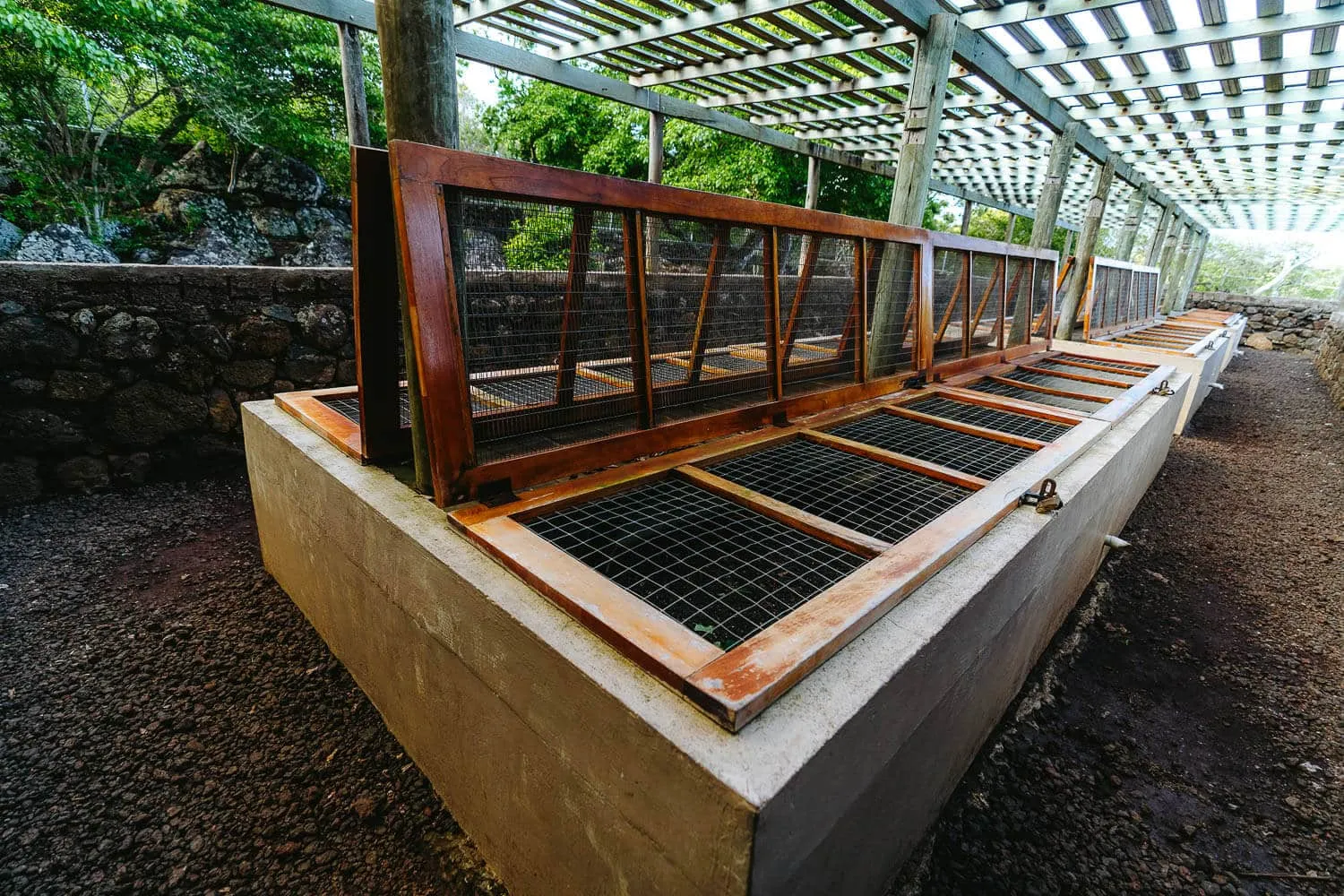 The breeding zone on the Highlands Tour in San Cristobal