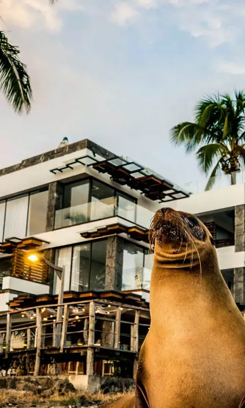 15 Best Hotels in San Cristobal, Galapagos - Budget to Luxurious