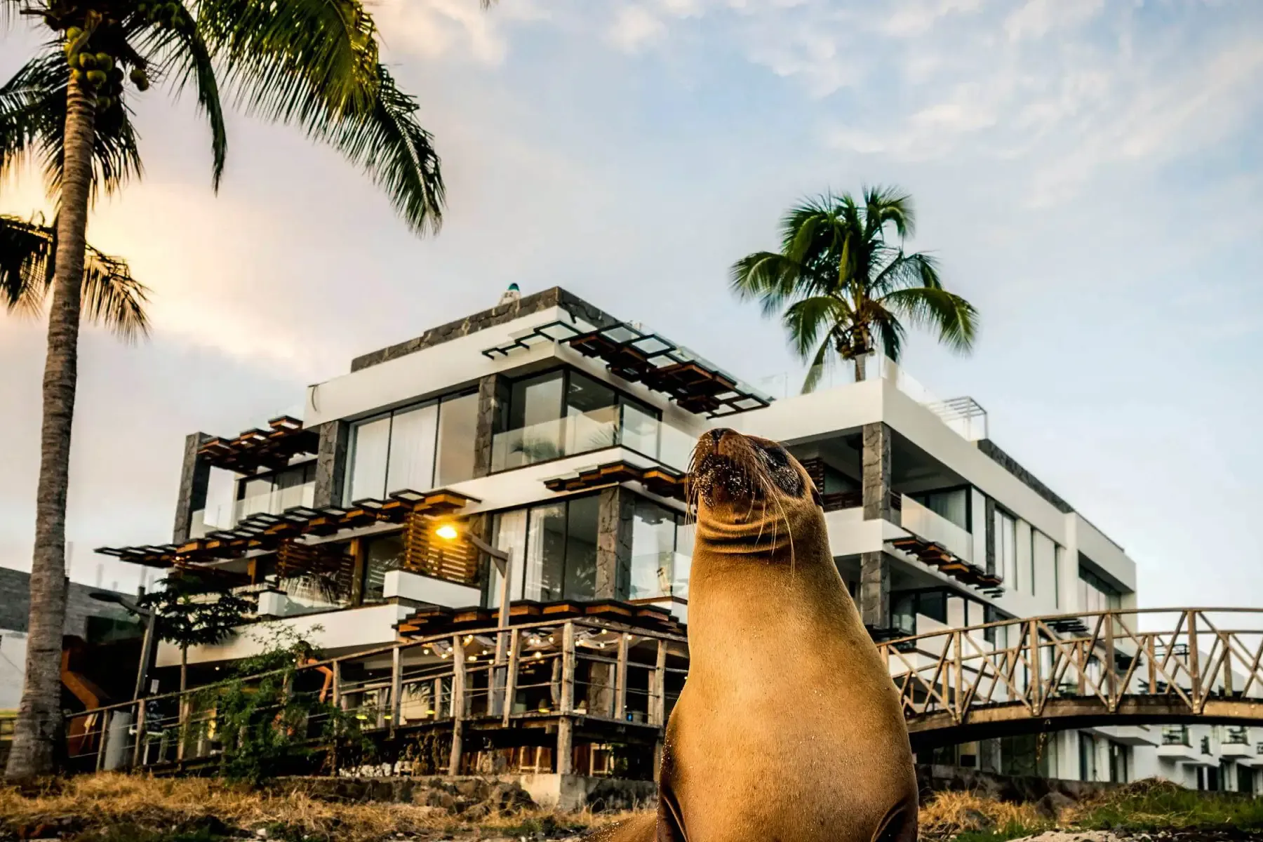 15 Best Hotels in San Cristobal, Galapagos - Budget to Luxurious