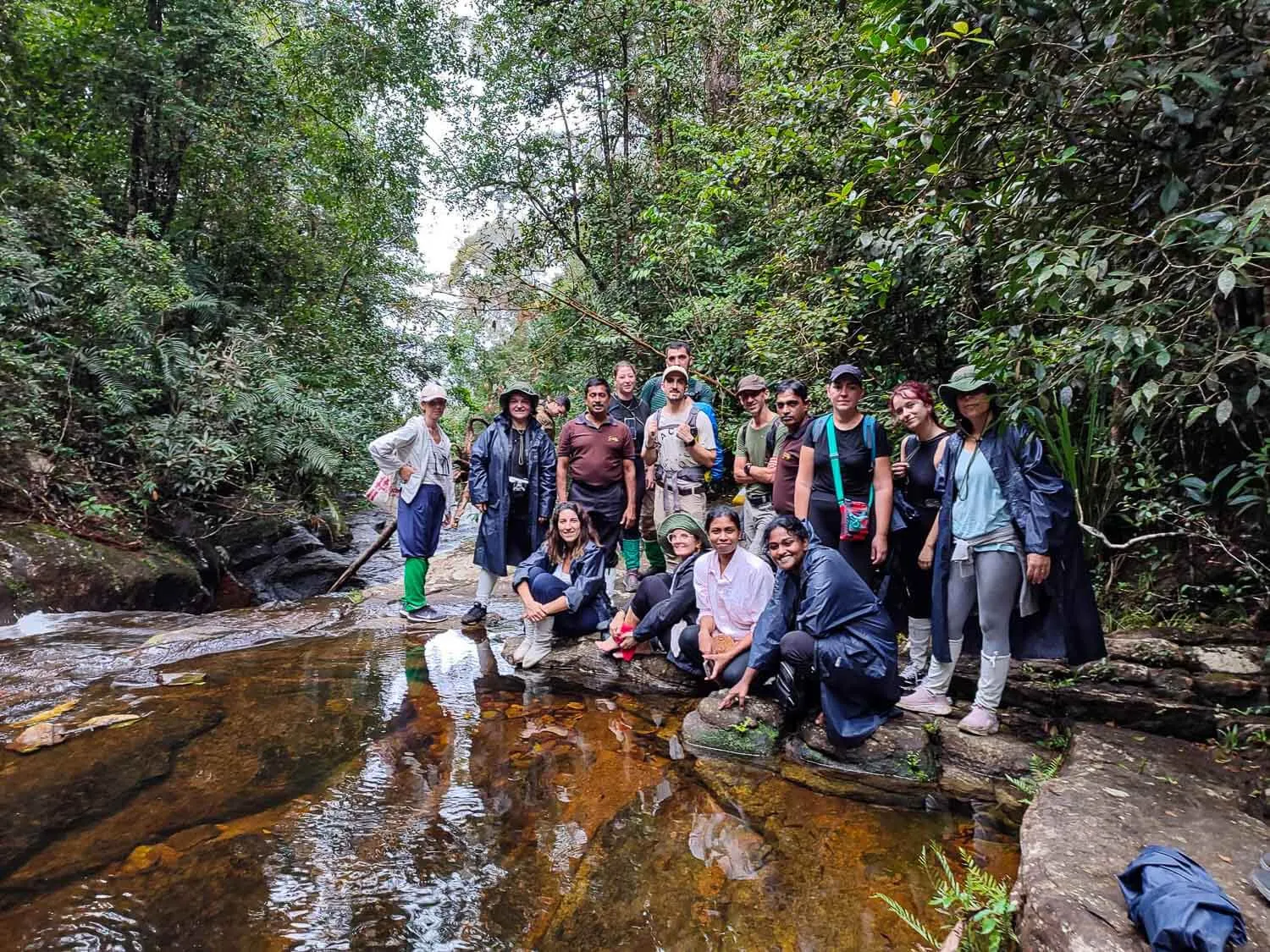 The group in the middle of the jungle hike