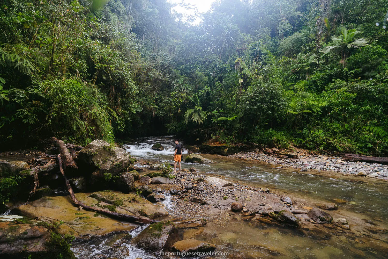 Steeven not finding the path to cross the river