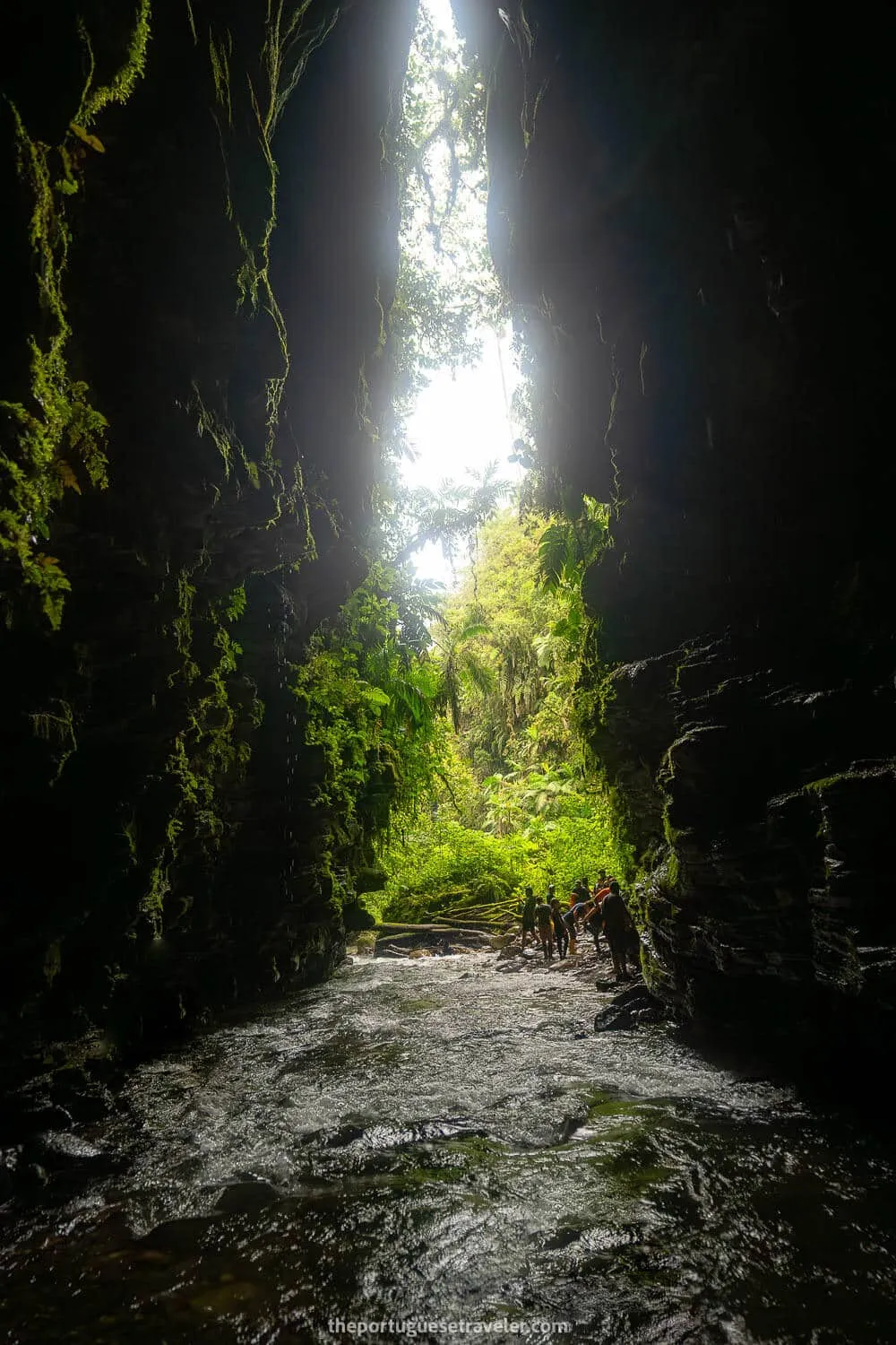 The views from Gruta de Los Tayos to the jungle