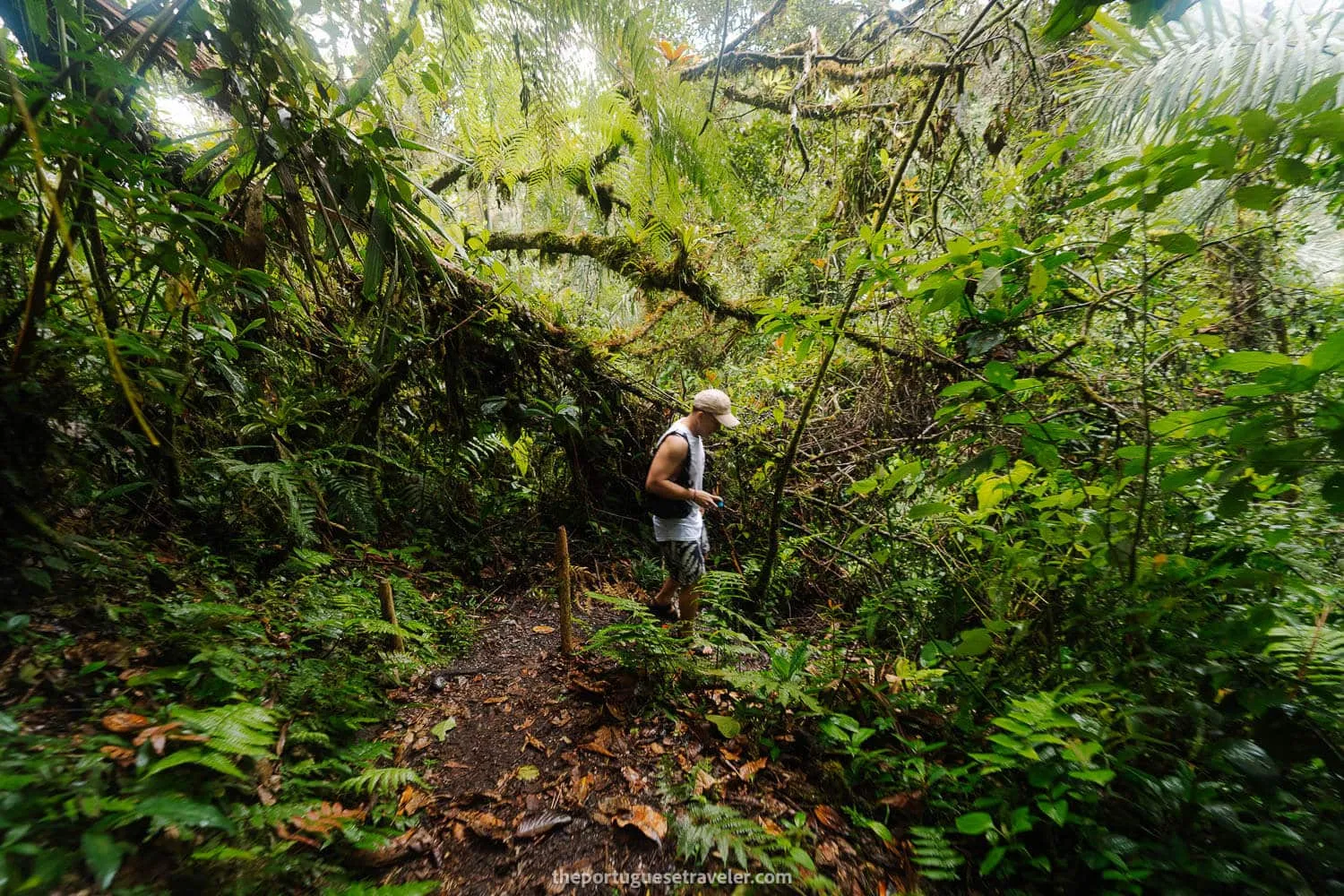 Eddie on his way to the river before reaching Gruta de Los Tayos