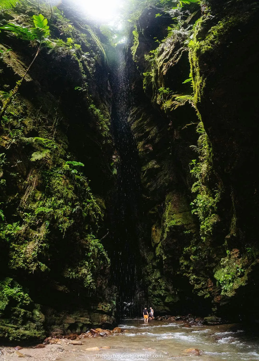 The view from the outside of Gruta de Los Tayos