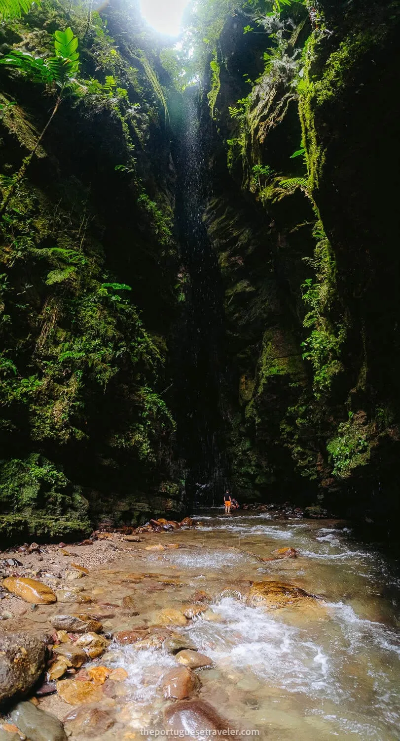 The view from the outside of Gruta de Los Tayos