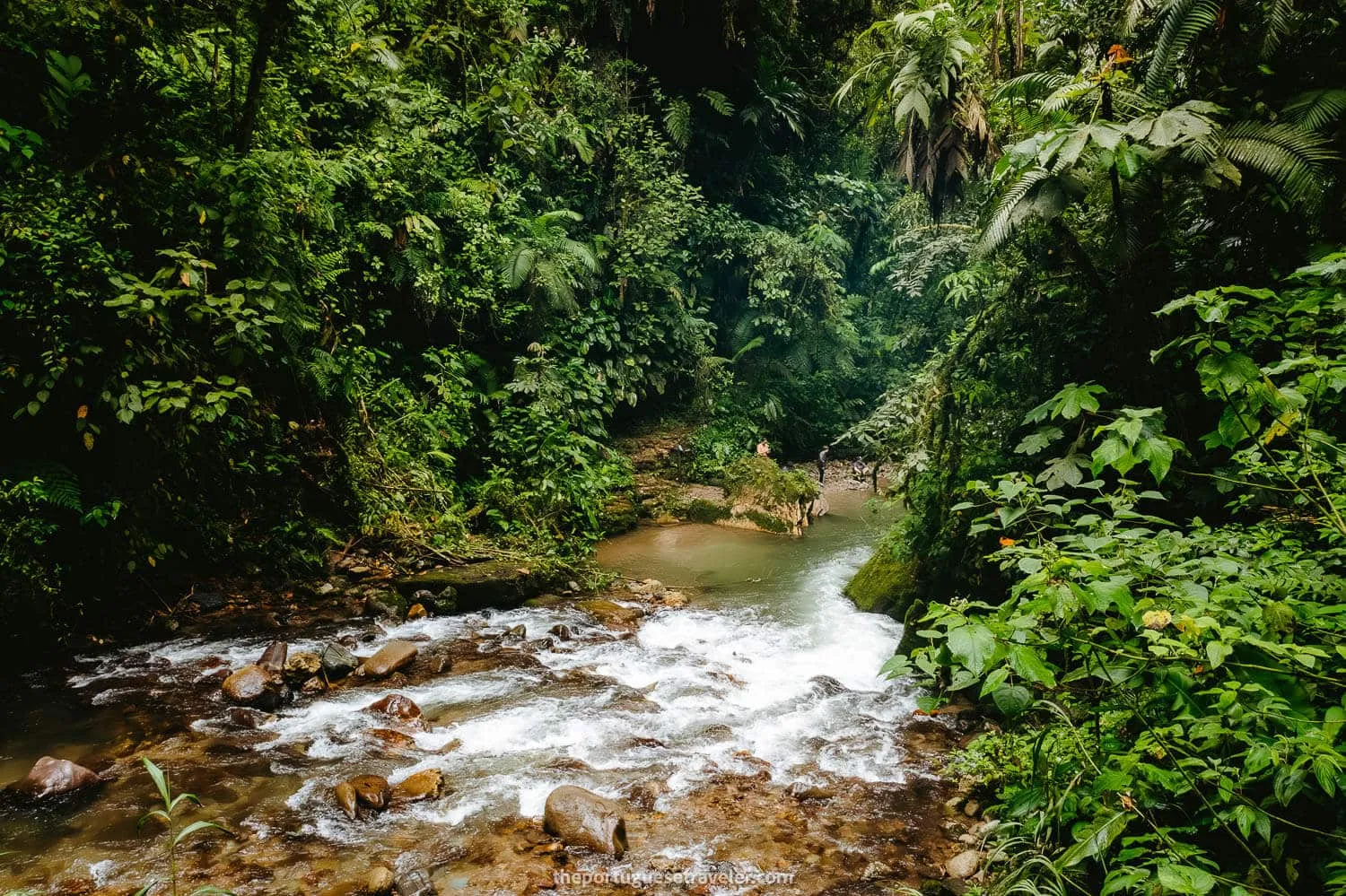 Parts of the river where you can swim if you want