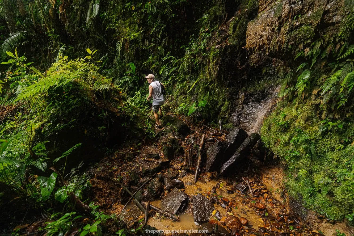 More scenes of the hike to Gruta de Los Tayos