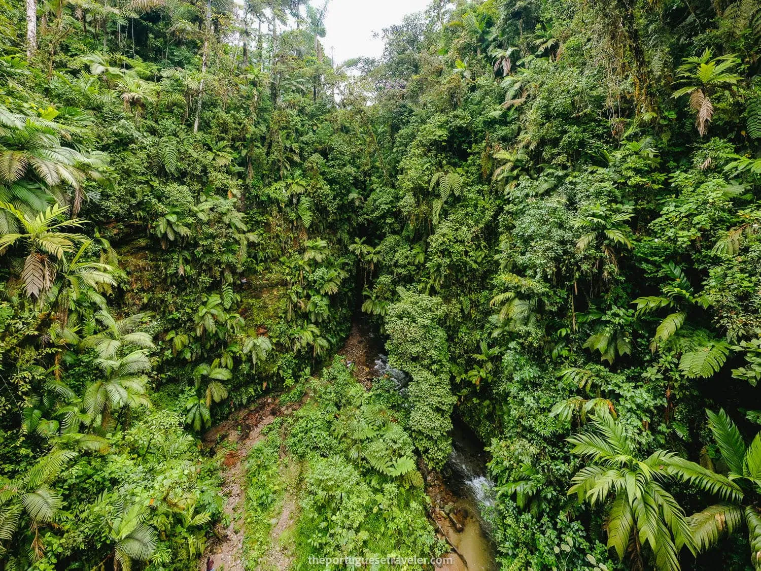 A panorama of the surroundings of Gruta de Los Tayos