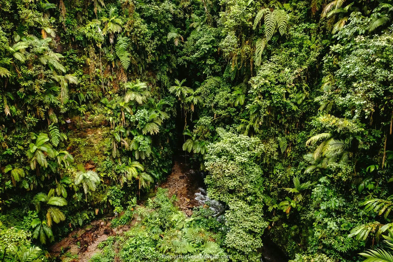 Gruta de Los Tayos exterior seen from a drone perspective
