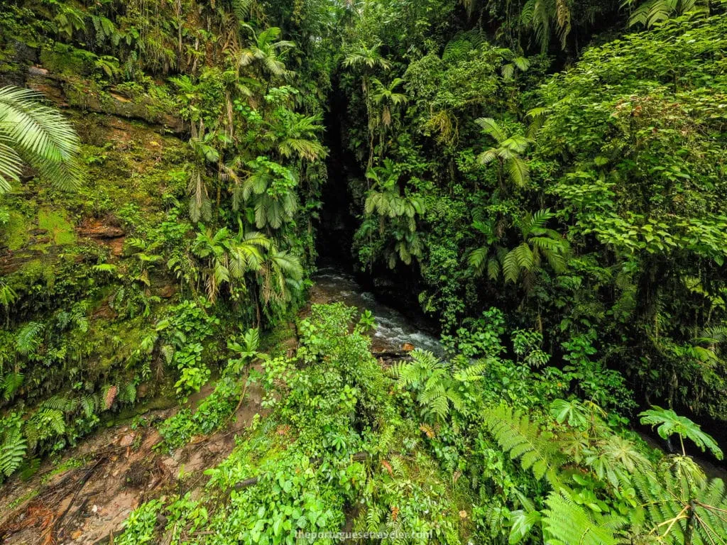 Arriving at Gruta de Los Tayos