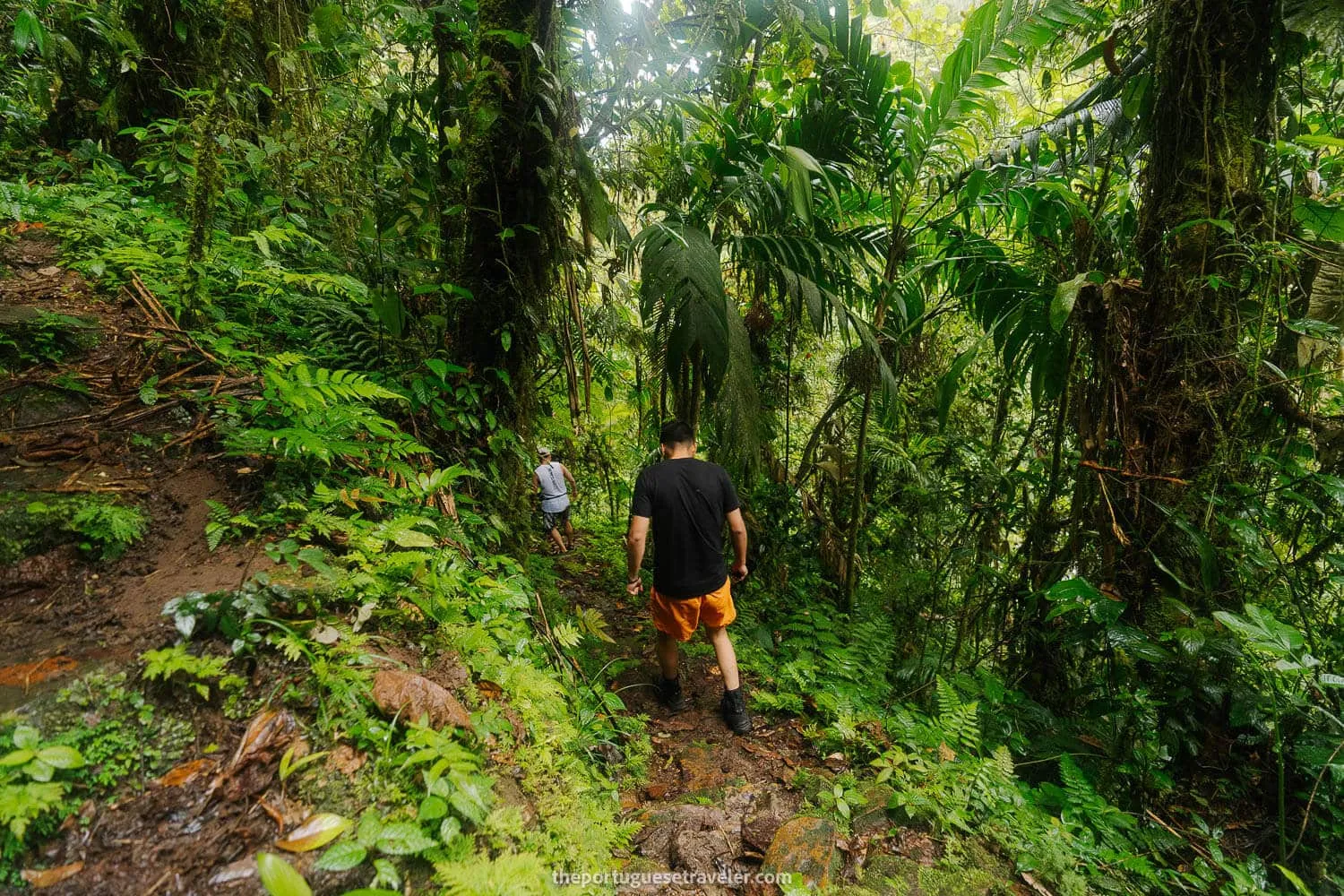The group heading down