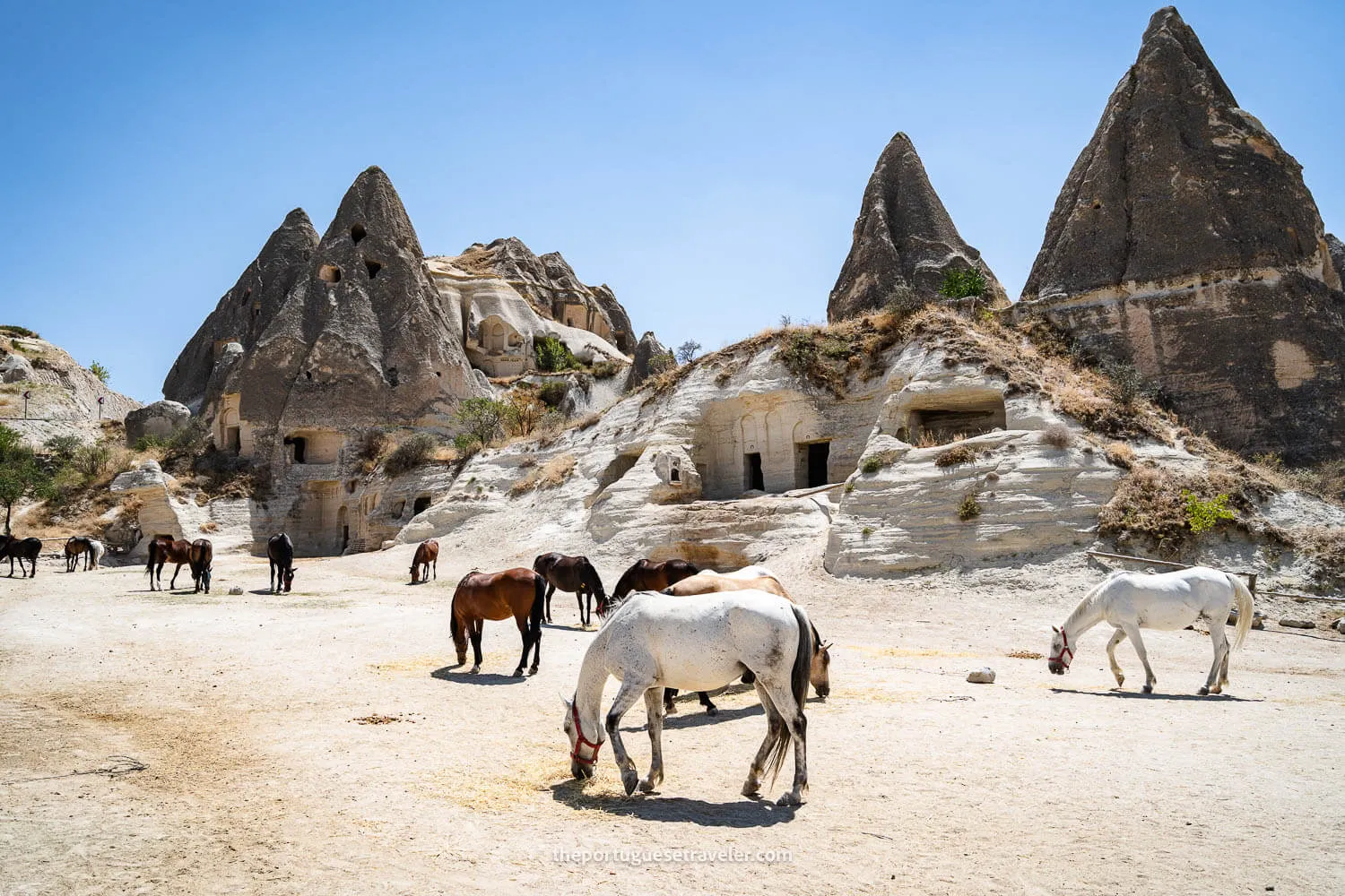 Horse Riding in Cappadocia, Turkey