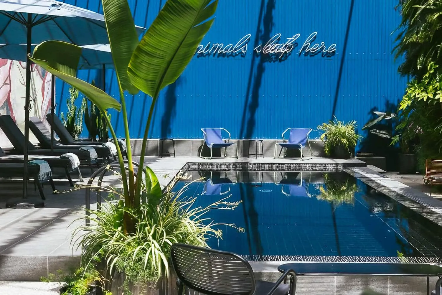 Hotel Hotel Design Collection in Lisbon