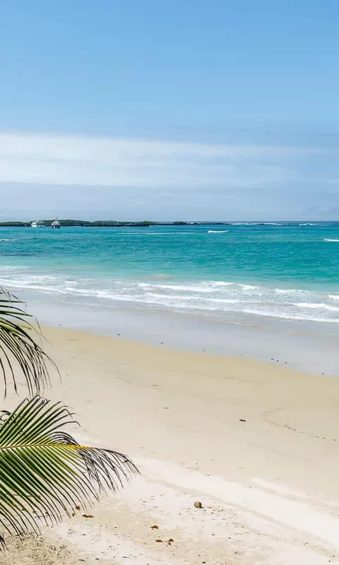 Where to Stay in The Galapagos - Which Island to Stay On (2026)