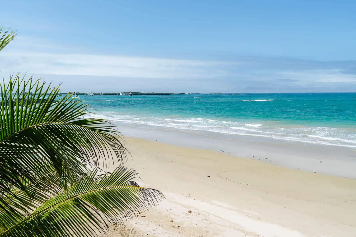 3 Best Beaches in Isabela, Galapagos: Where to Go?