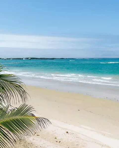 3 Best Beaches in Isabela, Galapagos: Where to Go?